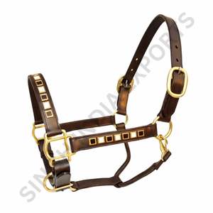 SIE - Cabestro Ajustable de Cuero Genuino Negro y Blanco para Exhibición Ecuestre, Doble Capa Acolchada Premium con Herrajes de Latón - Product Image 5