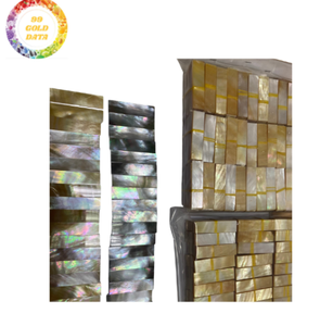 Cortes de Concha de Nácar Pulidos Ecológicos Personalizados, Forma Irregular para Proyectos de Arte, Murales de Pared, Artesanía de Lujo - Product Image 1