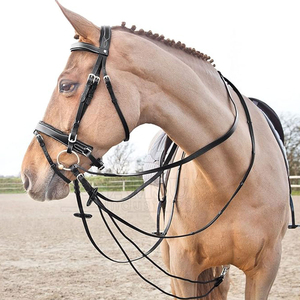 Fouet en cuir avec attaches métalliques et poignée pour l'entraînement équestre - Product Image 6