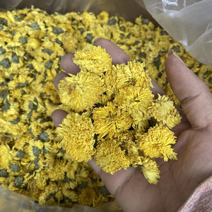 Proveedor de Fábrica en Vietnam de Flores de Manzanilla Secas para Té Herbal, Venta al Por Mayor, Fabricante y Exportador - Product Image 1