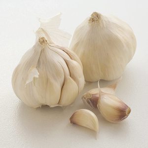 Ajo Blanco Fresco de Alta Calidad en Empaque de Malla con Bulbos Limpios y Clasificados para la Demanda de Importadores y Compradores - Product Image 4