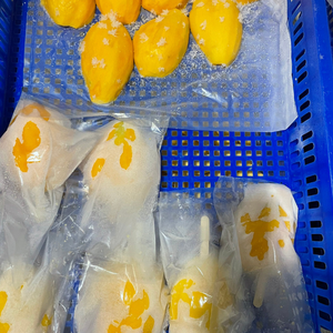 Mejillas de Mango Congeladas IQF de Vietnam para Rellenos de Repostería Sabrosos y para Mejorar la Variedad de la Barra de Ensaladas 99 Gold Data - Product Image 1