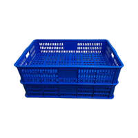 Caisse de poisson en plastique solide de mur de maille pour le panier empilable de plateau de pizza de plateau de ventilation de fruits de mer