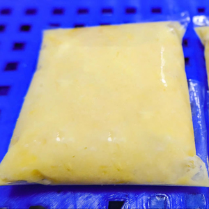 DURIAN PUREE CONGELÉ DE RIPE FRAIS (sans pépins)-Bon prix-Fournisseur vietnamien - Product Image 1