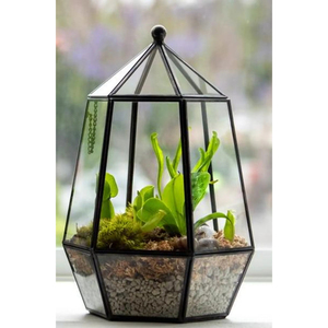 Terrario de Vidrio Miniatura de Diseño Único al por Mayor con Marco Metálico Dorado para Colgar en la Pared, Accesorios de Decoración para el Hogar - Product Image 3