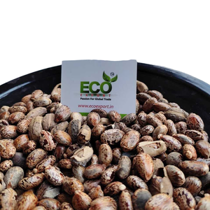 Haricots de ricin indiens/graines pour usage agricole commercial - Product Image 1