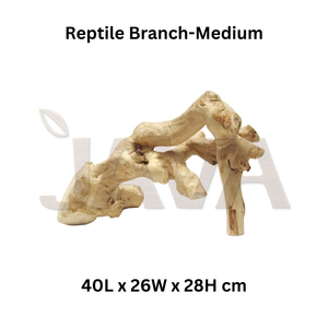 Suministros Ecológicos para Reptiles y Anfibios para Dueños de Reptiles, Rama para Reptiles Mediana - Product Image 1