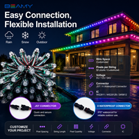 Guirlandes lumineuses LED intelligentes à pixels RGB de 12 mm, adressables, WS2811, étanches IP67, pour l'extérieur, Noël et événements