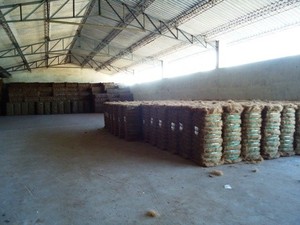 Fibres de coco 100 % pures et biologiques, adaptées à diverses applications industrielles et techniques - Product Image 6