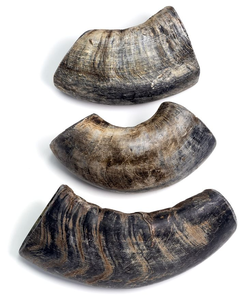 Cuerno Masticable para Perros de Alta Calidad, Seguro para Perros, Duradero, Perfecto para Masticadores Agresivos y Salud Dental - Product Image 2