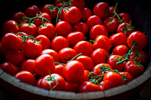 Tomates fraîches de qualité supérieure |   Tomates rouges naturelles pour la transformation alimentaire et le marché de gros – Meilleur prix en stock – Prix abordable - Product Image 5