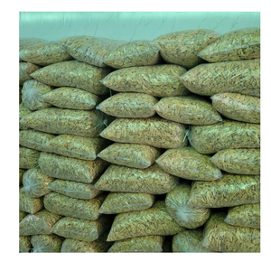 Chips de banane séchées naturelles, sucrées et croustillantes, fabricant de collations aux fruits du Vietnam - Product Image 2