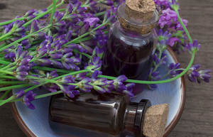 Proveedor a granel de aceite esencial de lavanda 100% puro natural para aromaterapia hidratante de 2kg - Product Image 2