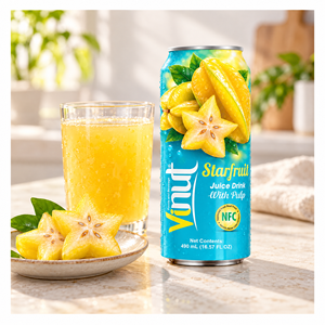 Jugo de Carambola con Pulpa 490ml NFC en Caja, Bebida de Fruta con Sabor a Puré, Fábrica de Vietnam - Product Image 6
