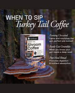 Mélange de café aux champignons Turkey Tail, boisson naturelle quotidienne pour une énergie douce, une meilleure concentration et un soutien au bien-être - Product Image 2