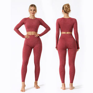 Conjunto Deportivo de 2 Piezas para Mujer, Top Corto sin Costuras de Manga Larga y Leggings de Cintura Alta, Color Sólido, para Yoga, Gimnasio y Entrenamiento, Personalizado 2026 - Product Image 1