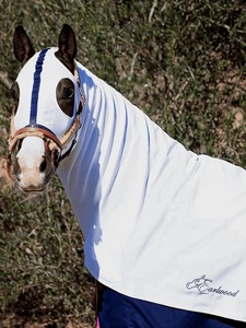 Mantas para Caballos de Alta Calidad, Gruesas, de Lana, Cálidas para Invierno, Impermeables, para Montar a Caballo - Product Image 3
