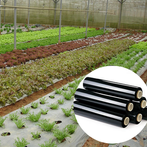 Rollo de película de mantillo PE de 0,01-0,20mm de espesor duradero para verduras y frutas, retención de humedad del suelo, precio al por mayor de Vietnam - Product Image 3