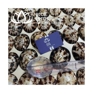 Conchas de limpias azules trituradas de alta calidad, ecológicas, a granel, para manualidades. - Product Image 1