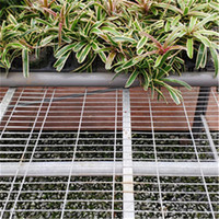 Grandes tables de culture mobiles pour serres - Tables de culture mobiles peu encombrantes avec plateaux en treillis métallique pour la culture hydroponique commerciale