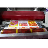 Machine d'impression flexographique de type stack haute performance à usage industriel pour les applications d'impression d'emballages continus