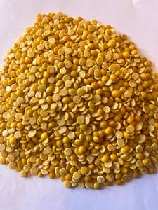Lentejas Toor Dal Secas Convencionales de Gran Calidad al por Mayor, Deliciosas Lentejas de Origen Indio, Empaque Personalizado, Mejor Precio Económico - Product Image 4