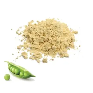 China Supplier Wholesale High Quality Pure Organic Isolate Pea Protein Powder Nutrition Enhancers Concentrated