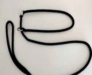 Correa para Perros de Exhibición – Correa Ligera Todo en Uno con Anillo Dorado o Plateado – Correa Clásica Delgada para Exhibición - Product Image 1