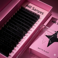 Extensions de cils personnalisables Everlasting Muse, des matériaux de qualité pour des cils magnifiques