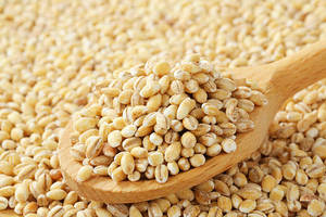 Grains d'orge perlée de qualité supérieure, naturels, décortiqués, riches en fibres, céréales complètes, qualité export pour une nutrition quotidienne - Product Image 2