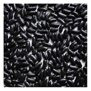 ถั่วแดงคุณภาพสูงขายส่งในราคาถูก ถั่วแดงดำเข้มทรงยาว - Product Image 3