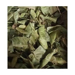 Feuilles de mangue séchées naturelles, thé en vrac pur de mangue, offre spéciale, prix abordable, 5OZ 10OZ 12OZ, emballage personnalisé sous vide de feuilles de mangue - Product Image 1