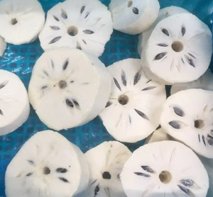 99 Gold Data Viet Nam IQF Graviola Corosop Premium Frozen Vente en gros Paris de haute qualité Prix prêt à exporter - Product Image 1