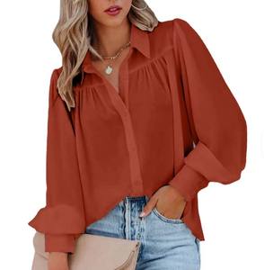 Blusas Elegantes Vintage para Mujer, Primavera, Verano, Otoño, Color Sólido, Manga Larga, Oficina, Casual, Camiseta Lisa con Botones y Bordado Frontal - Product Image 4