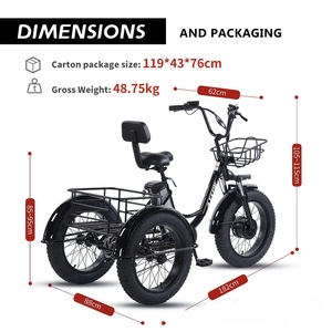 Tricycle électrique cargo à assistance au pédalage, pneus neige 20 pouces, batterie lithium 48V, moteur sans balais, frein à disque, 7 vitesses, cadre en acier, moyeu arrière - Product Image 6