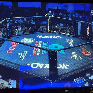 Cubierta de Lona para Ring de Boxeo Personalizada, Cubierta de Suelo de PVC/Vinilo Resistente, Modelo IRSA SPORTS IRSA-254801, Equipo de Gimnasio OEM - Product Image 1