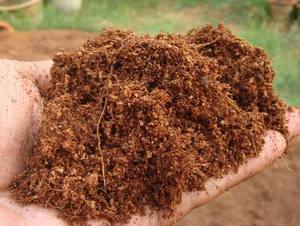 Brique de tourbe de coco premium extensible en fibres de coco pour l'agriculture et l'horticulture - Product Image 3