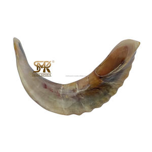 ชอฟาร์ทำมือจากเขาแกะ เป็นมิตรกับสิ่งแวดล้อม ขัดเงาอย่างสวยงาม ของสะสมสำหรับการจัดแสดง เหมาะสำหรับพิธีกรรมทางศาสนาแบบดั้งเดิม - Product Image 5