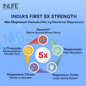 Suplemento de Magnesio Certificado por GMP de INLIFE, 2000 mg, 5 Veces Más Zinc Picolinato, para Dormir, Concentración, Músculos, Glicinato Quelado, Mejora la Densidad Ósea - Product Image 3