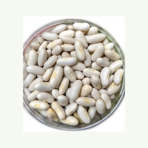 Haricots rouges biologiques de haute qualité, légers et mouchetés, séchés, en vrac, sacs PP de 25 kg, humidité 12-14%, Allemagne, durée de conservation de 2 ans - Product Image 3