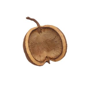 Vainas de Buda Secas Naturales (PEQUEÑAS) para Acuarios y Peceras - Product Image 2