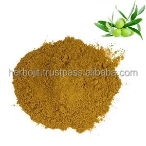 Polvo de extracto de fruta de olivo salvaje Suplemento rico en antioxidantes naturales para la salud del corazón y El apoyo inmunológico - Product Image 4