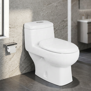 WC monobloc de style sud-américain en céramique à siphon, à double chasse, à poser au sol, pour salles de bain et projets extérieurs - Product Image 6
