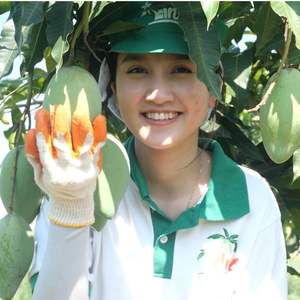 น้ำมะพร้าวผสมมะม่วง VINUT 320 มล. ขายส่ง รับผลิตแบรนด์ส่วนตัว มีตัวอย่างฟรี ผู้ผลิตจากเวียดนาม - Product Image 4