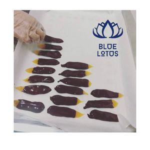 Mango Seco Dulce Sostenible Recubierto de Chocolate, el Más Vendido, al por Mayor - Product Image 1