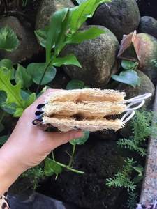 Éponge de loofah séchée à base végétale, exfoliant de bain de qualité supérieure, éponge naturelle en forme de gourde pour le corps, vente en gros, pour le lavage domestique - Product Image 3