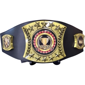 Custom Championship <b>Wrestling</b> Belt Premium Leather Title Belt with Gold Metal Plates Stars Trophy Medallion Personalized Designs - Product Image 1
