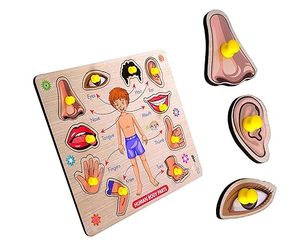 Rompecabezas de partes del cuerpo, juguetes de madera para niños mayores de 3 años, rompecabezas para adultos, juguetes de aprendizaje para bebés, juguetes educativos para niños de 2 años, juego de mesa - Product Image 1
