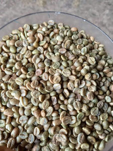 เมล็ดกาแฟโรบัสต้าจากเวียดนามเมล็ดกาแฟเวียดนามแบบดั้งเดิมขายส่ง - Product Image 4