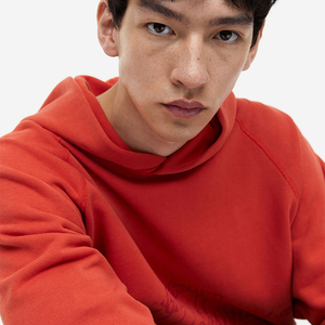 Wholesale High Quality Custom Fashion Streetwear Solid Oversized Autumn 100% Cotton Pullover Premium <b>Men</b> Hoodies with Pocket - Product Image 5